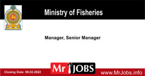 Ministry of Fisheries Vacancies 2022 - Manager, Senior Manager