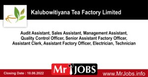 Kalubowitiyana Tea Factory Vacancies 2022