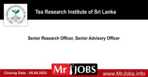 Senior Research Officer, Senior Advisory Officer – Tea Research Institute Vacancies 2022