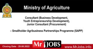 Smallholder Agribusiness Partnerships Programme (SAPP) Vacancies 2022
