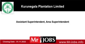 Assistant Superintendent Area Superintendent Kurunegala Plantation Lid Vacancies
