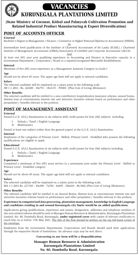 Management Assistant, Accounts Officer – Kurunegala Plantations Limited