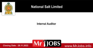 Internal Auditor - National Salt Limited
