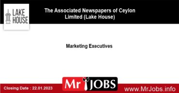 Marketing Executives Lake house Jobs Vacancies 2023