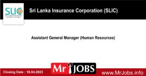 Assistant General Manager (Human Resources) - SLIC Vacancies 2023
