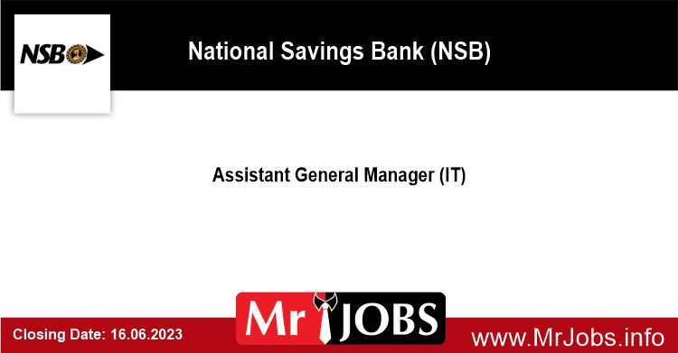 Assistant General Manager (IT) - NSB Job Vacancies 2023