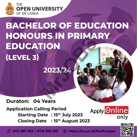 Bachelor of education honours in primary education level 3