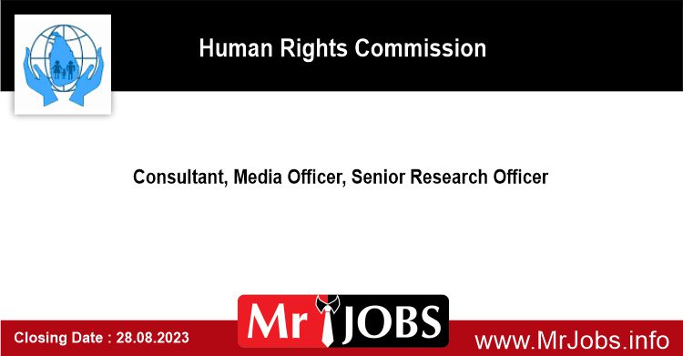 Consultant Media Officer Senior Research Officer HRC jobs Vacancies 2023