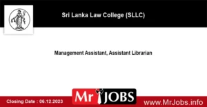 Management Assistant Assistant Librarian SLLC Vacancies 2023