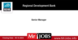 RDB Bank Job Vacancies 2023 Senior Manager 2